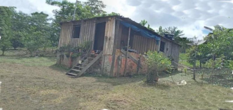 Brasilien 50 Ha grosses Tiefpreis-Grundstück bei Careiro Castanho AM Grundstück kaufen