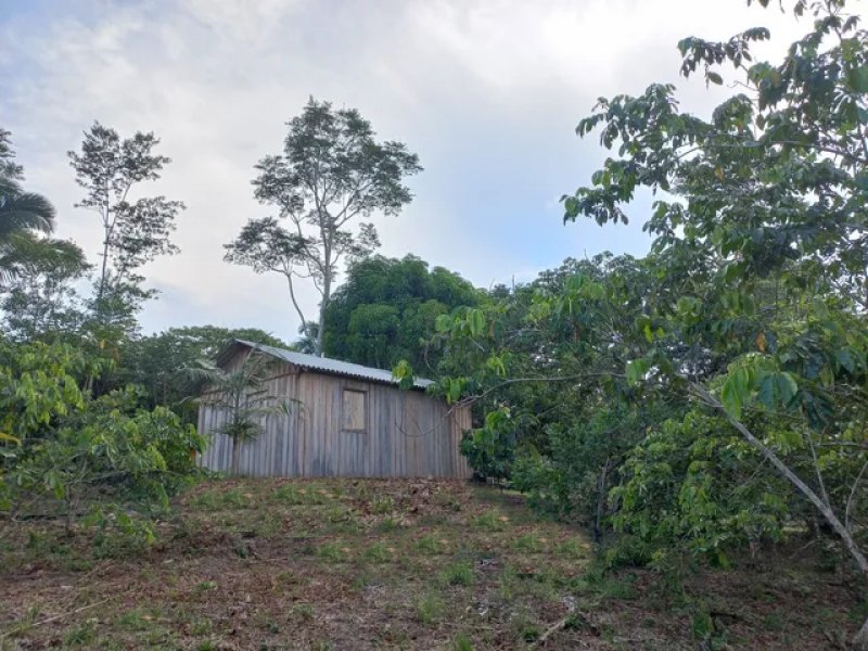 Brasilien 50 Ha Grundstück in der Nähe von Manaquiri-AM Grundstück kaufen