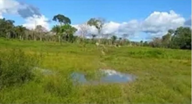 Brasilien 50 Ha Tiefpreis-Land mit Holzhaus und Privatsee Grundstück kaufen