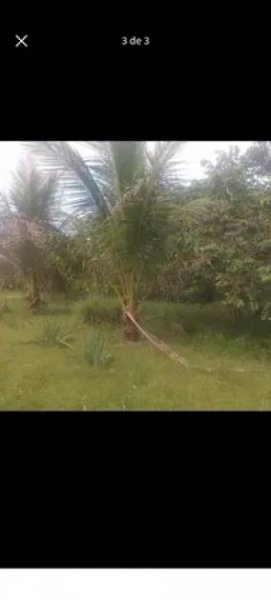  Brasilien 50 Ha Tiefpreis-Grundstück mit Fisch-Teichen Grundstück kaufen