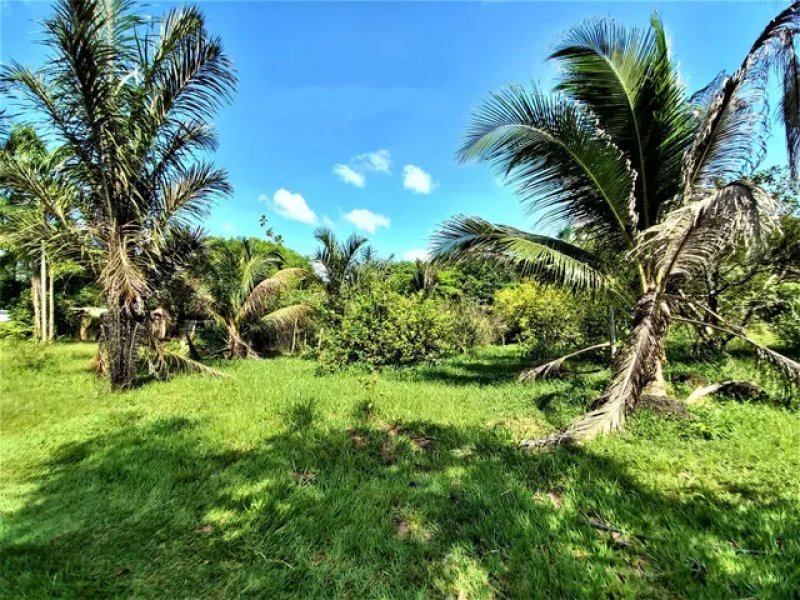 Brasilien 50 Ha Tiefpreis-Grundstück bei Presidente Figueiredo AM Grundstück kaufen