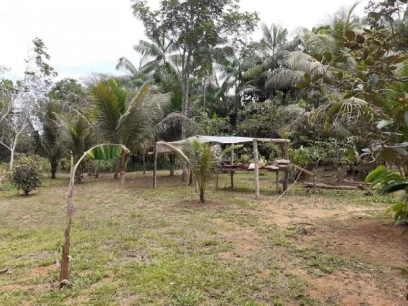 Brasilien 50 Ha Tiefpreis-Grundstück bei Presidente Figueiredo AM Grundstück kaufen