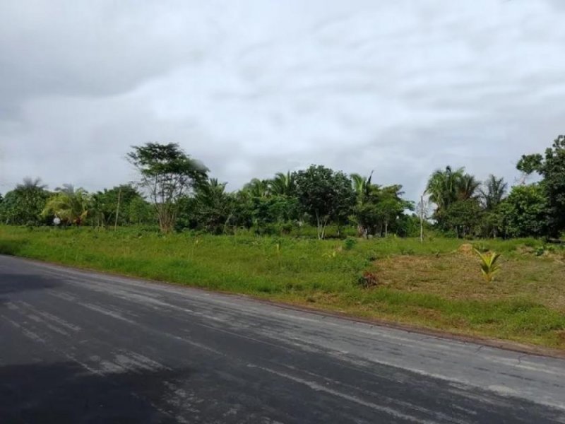 Brasilien 50 Ha Tiefpreis-Grundstück bei Presidente Figueiredo AM Grundstück kaufen