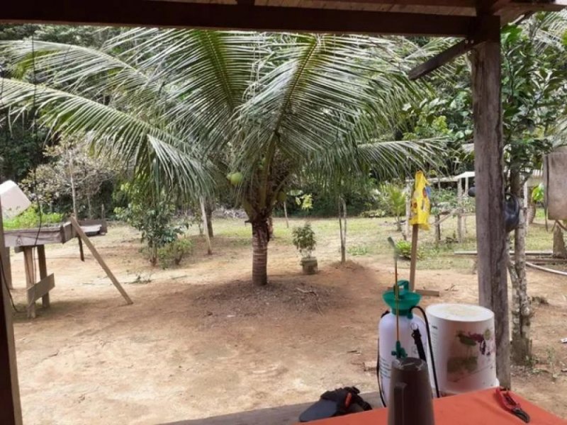 Brasilien 50 Ha Tiefpreis-Grundstück bei Presidente Figueiredo AM Grundstück kaufen