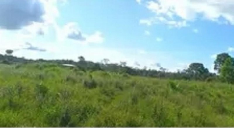 Brasilien 50 Ha Tiefpreis-Land mit Holzhaus und Privatsee Grundstück kaufen