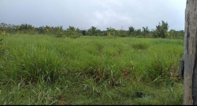 Brasilien 50 Ha Tiefpreis-Land mit Holzhaus und Privatsee Grundstück kaufen