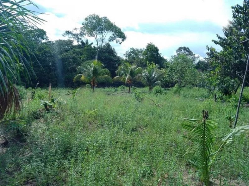 Brasilien 50 Ha Tiefpreis-Grundstück bei Presidente Figueiredo AM Grundstück kaufen