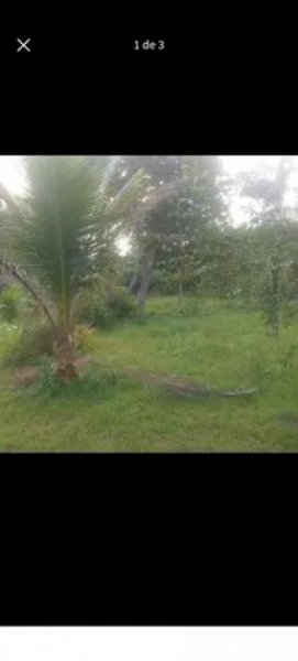  Brasilien 50 Ha Tiefpreis-Grundstück mit Fisch-Teichen Grundstück kaufen