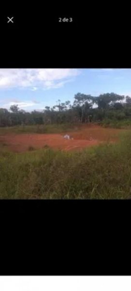  Brasilien 50 Ha Tiefpreis-Grundstück mit Fisch-Teichen Grundstück kaufen