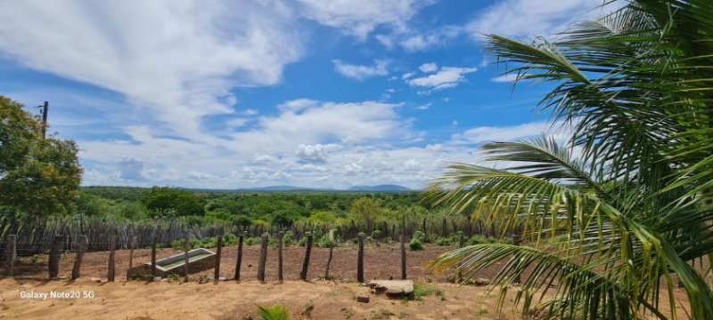  Brasilien 560 Ha grosses Tiefpreis-Grundstück bei Region Recife - PE Grundstück kaufen