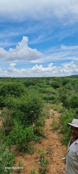 Brasilien 560 Ha grosses Tiefpreis-Grundstück bei Region Recife - PE Grundstück kaufen