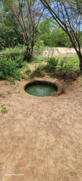 Brasilien 560 Ha grosses Tiefpreis-Grundstück bei Region Recife - PE Grundstück kaufen