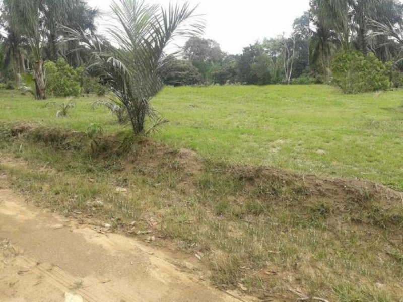  Brasilien 60 Ha Früchtefarm Presidente Figueiredo Am Grundstück kaufen