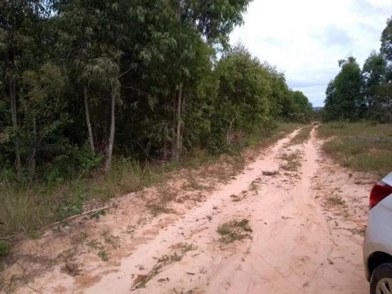  Brasilien 6'000 Ha Rohstoff - Land Region Manaus - Tefe AM Grundstück kaufen
