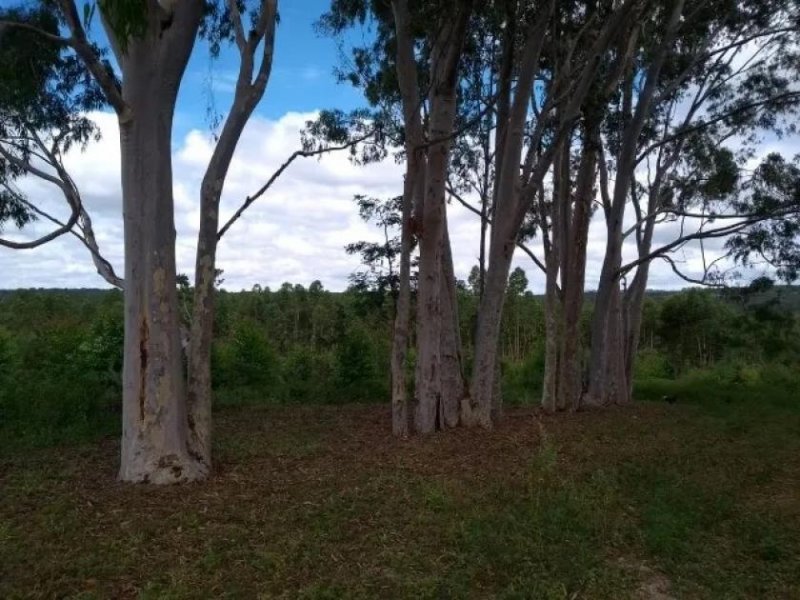 Brasilien 6'000 Ha Rohstoff - Land Region Manaus - Tefe AM Grundstück kaufen