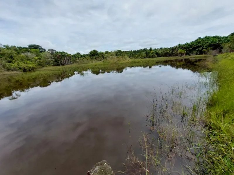 Brasilien 6'000 Ha Tiefpreis - Grundstück mit Rohstoffen Grundstück kaufen