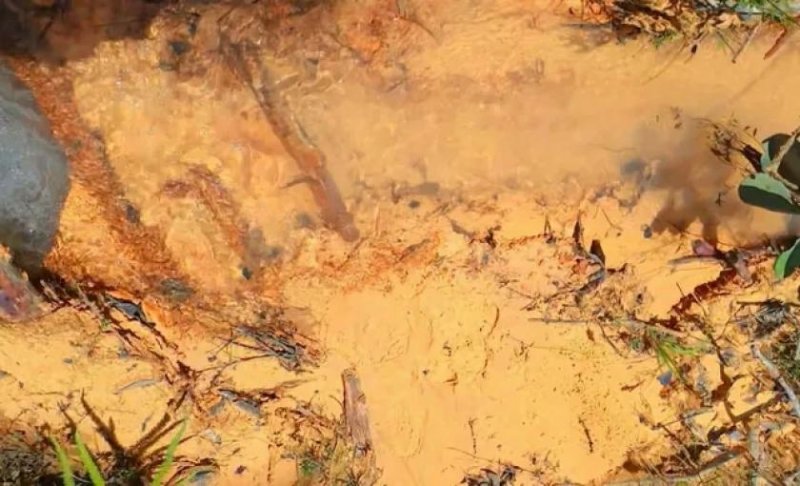 Brasilien 75.035 Ha Tiefpreis-Grundstück bei der Stadt Balbina AM Grundstück kaufen