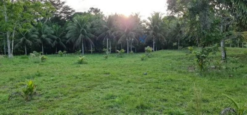  Brasilien 75.035 Ha Tiefpreis-Grundstück bei der Stadt Balbina AM Grundstück kaufen
