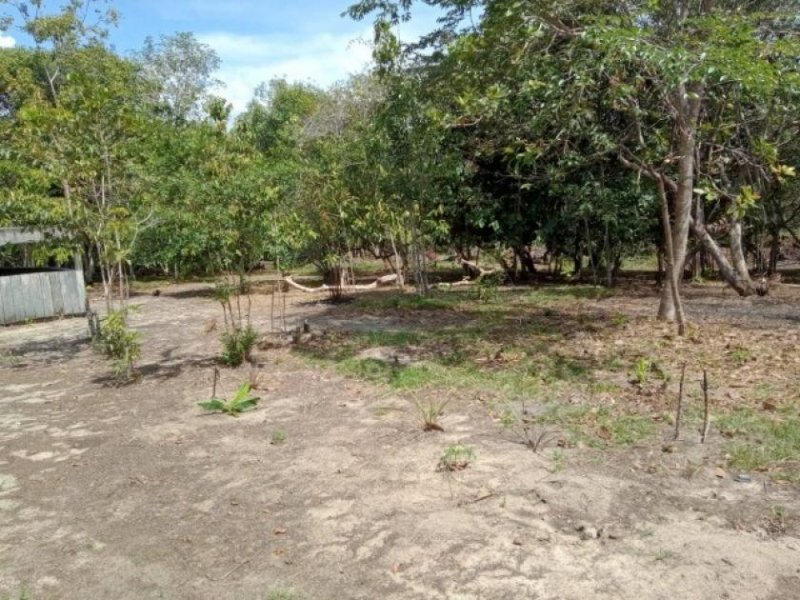  Brasilien 80 Ha Tiefpreis - Grundstück mit Rohstoffen Region Manaus-Balbina AM Grundstück kaufen