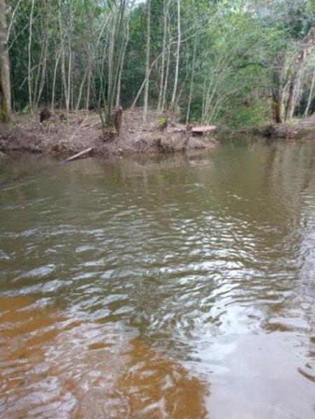 Brasilien 80 Ha Tiefpreis - Grundstück mit Rohstoffen Region Manaus-Balbina AM Grundstück kaufen