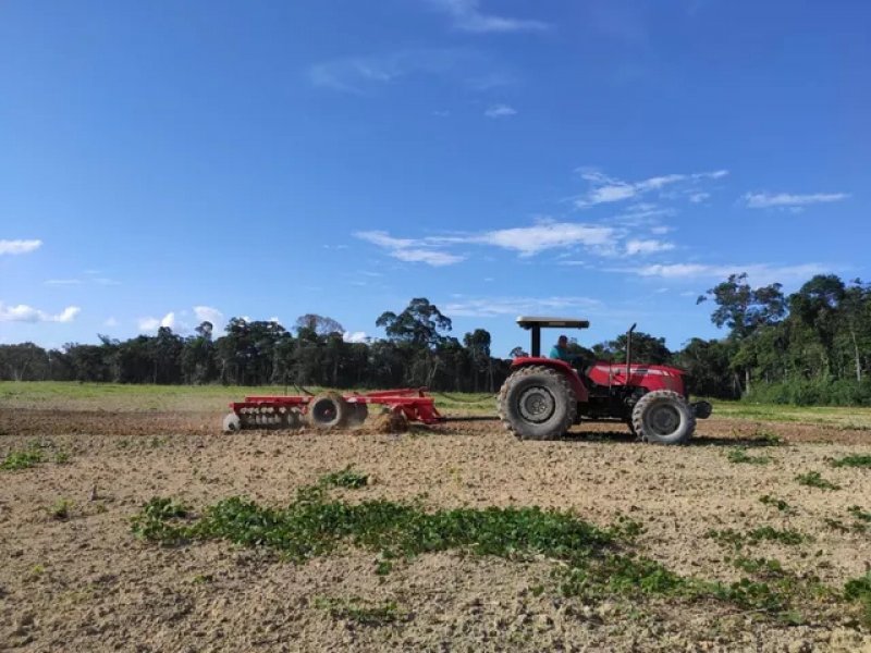  Brasilien 808 Ha Orangen-Kokosnuss-Acai-Fischzucht- Farm mit Privatsee Grundstück kaufen