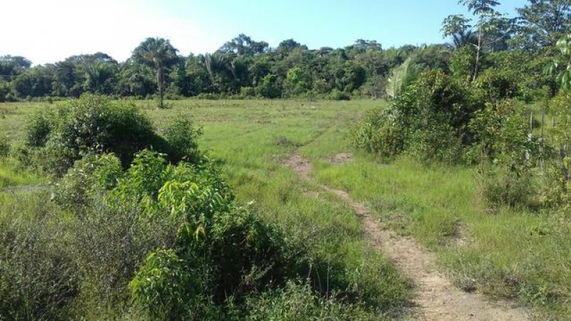 Brasilien 92 Ha Tiefpreis-Grundstück mit Privatsee Grundstück kaufen