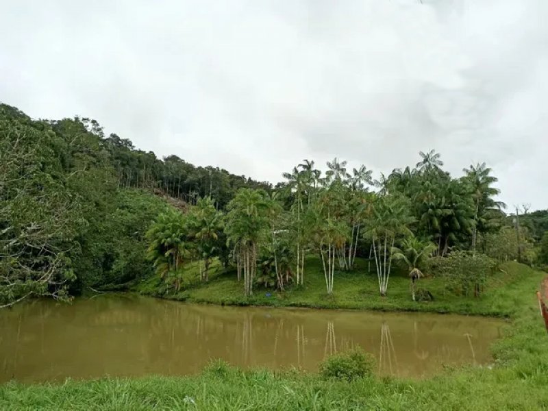 Brasilien 92 Ha Tiefpreis-Grundstück mit Privatsee Grundstück kaufen