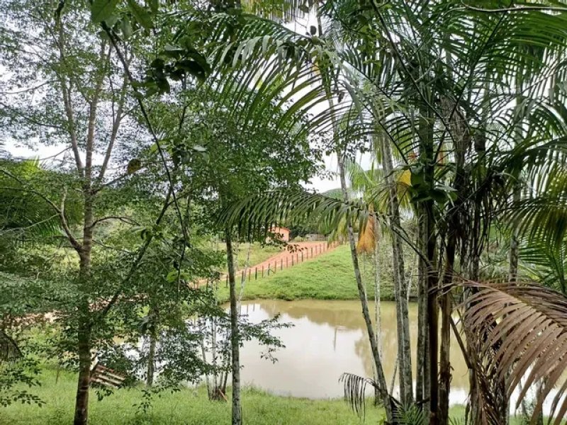 Brasilien 92 Ha Tiefpreis-Grundstück mit Privatsee Grundstück kaufen