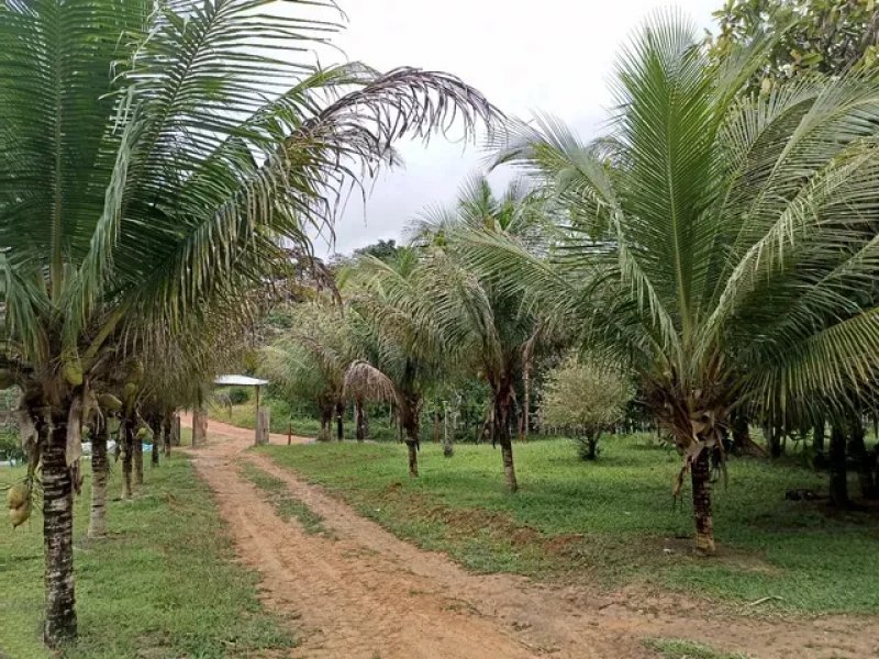 Brasilien 92 Ha Tiefpreis-Grundstück mit Privatsee Grundstück kaufen