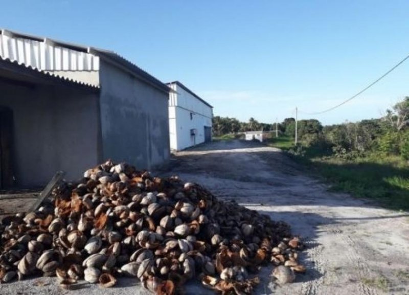 Brasilien Kokosnussölfabrik und Früchtefarm Gewerbe kaufen