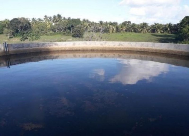 Brasilien Kokosnussölfabrik und Früchtefarm Gewerbe kaufen