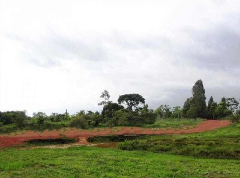  Brasilien riesengrosse 7'400 Ha Farm Grundstück kaufen