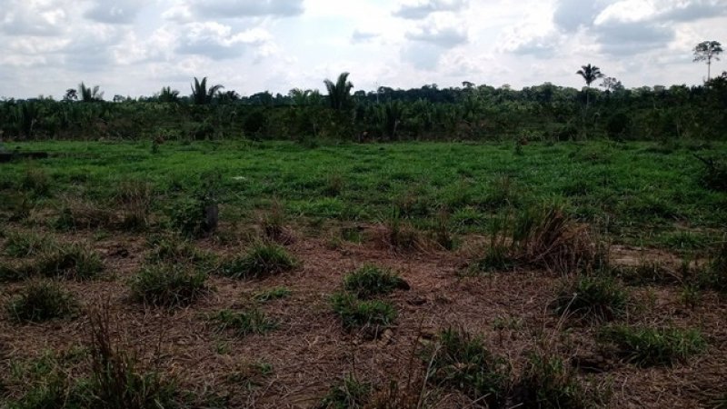  Brasilien riesengrosses 3'000 Ha Tiefpreis - Grundstück mit Rohstoffen Grundstück kaufen