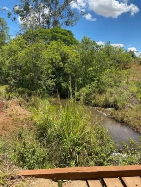  Brasilien riesengrosses 3'000 Ha Tiefpreis - Grundstück mit Rohstoffen in der Nähe von Presidente Figueiredo AM Grundstück