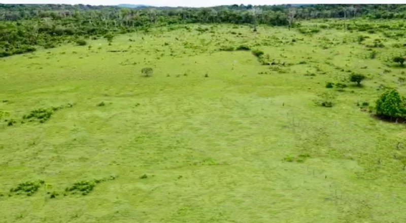  Brasilien riesengrosses 2'000 Ha Tiefpreis - Grundstück mit Rohstoffen Grundstück kaufen