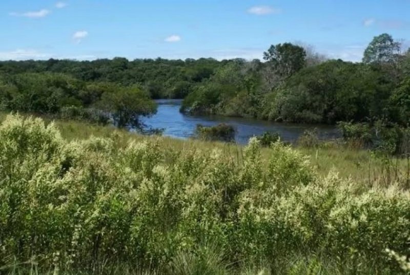 Brasilien riesengrosses 3'000 Ha Tiefpreis - Grundstück mit Rohstoffen in der Nähe von Presidente Figueiredo AM Grundstück