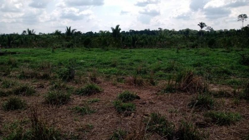 Brasilien riesengrosses 3'000 Ha Tiefpreis - Grundstück mit Rohstoffen Grundstück kaufen
