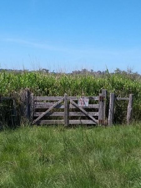  Brasilien riesengrosse 7'400 Ha Farm Grundstück kaufen