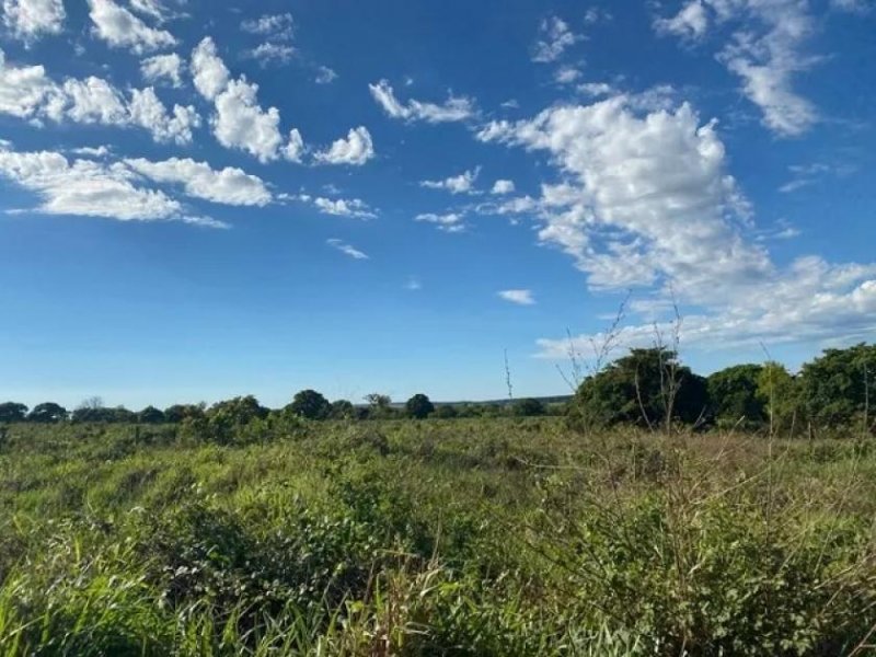 Brasilien riesengrosses 3'000 Ha Tiefpreis - Grundstück mit Rohstoffen in der Nähe von Presidente Figueiredo AM Grundstück