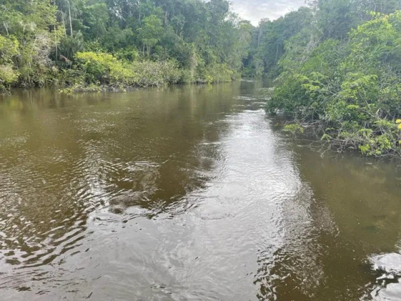 Brasilien riesengrosses 2'000 Ha Tiefpreis - Grundstück mit Rohstoffen Grundstück kaufen