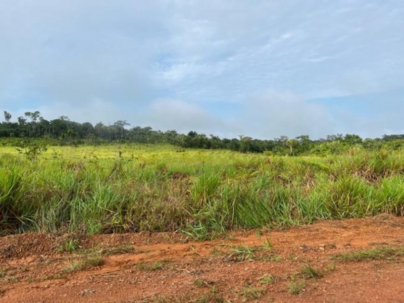  Brasilien riesengrosses 3\'000 Ha Tiefpreis - Grundstück Gewerbe kaufen