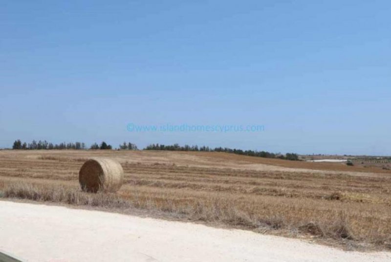 Deryneia LDER159 - 12,375m2 plot of agricultural land in Ayios Nicolaos.Located close to the Famagusta border this plot has an existing