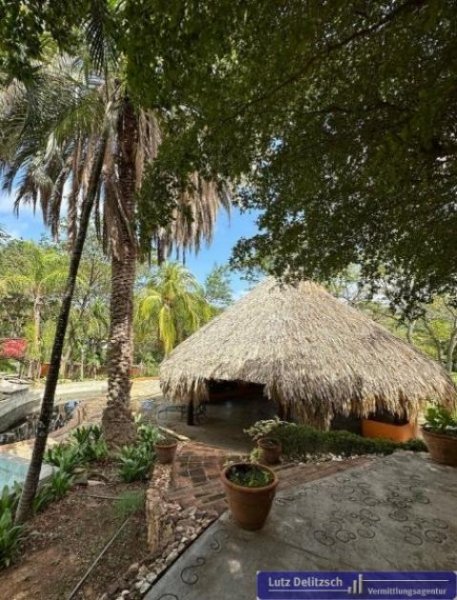 Insel Margarita Haus mit Pool in der Natur auf der Insel Margarita Haus kaufen