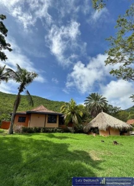 Insel Margarita Haus mit Pool in der Natur auf der Insel Margarita Haus kaufen