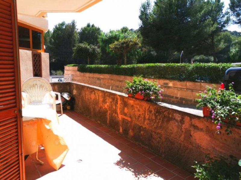 Paguera Schöne Wohnung strandnah in Paguera zu verkaufen! Wohnung kaufen