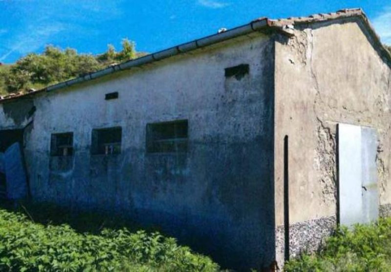 SANTA CATERINA ITALIA TOSCANA GROSSETO COMUNE DI ROCCALBEGNA Gewerbe kaufen