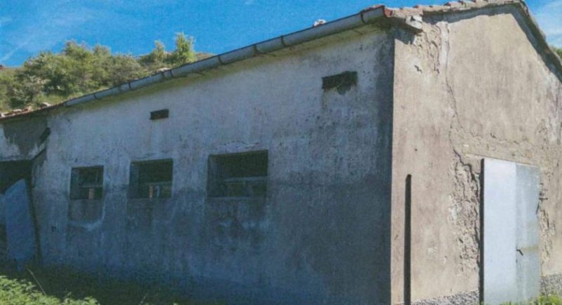 SANTA CATERINA ITALIA TOSCANA GROSSETO COMUNE DI ROCCALBEGNA Gewerbe kaufen