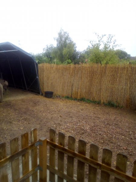 Verkaufen vollerschlossenes Bauernhaus - teilsaniert Haus kaufen