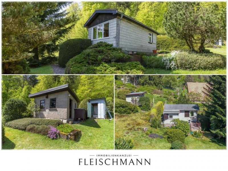 Zella-Mehlis Idyllisches Freizeitgrundstück mit Weitblick in Zella-Mehlis Grundstück kaufen