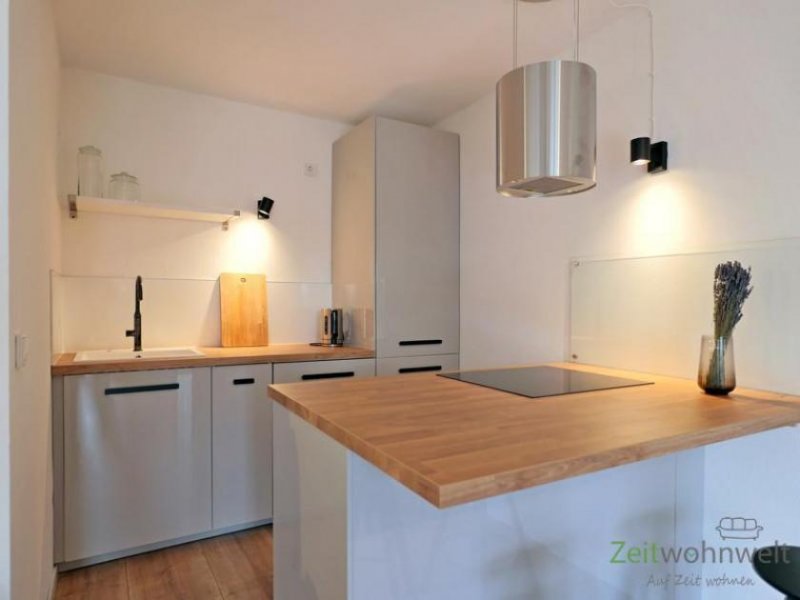 Dresden (EF0988_M) Dresden: Friedrichstadt, nagelneu möbliertes, ruhiges Apartment mit Balkon und PKW-Stellplatz, WLAN inkl. Wohnung